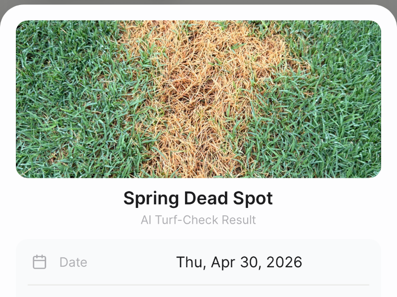 TurfCheck AI Scanner screenshot
